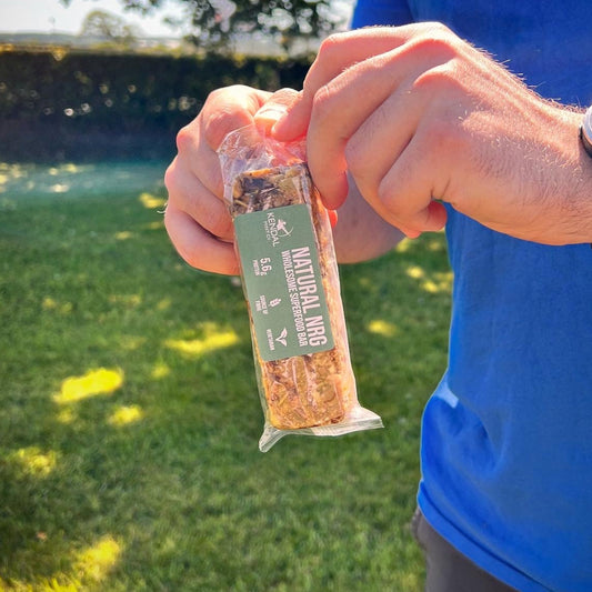 Natural NRG: Rolled Oat Flapjack Energy Bar (Vegan)