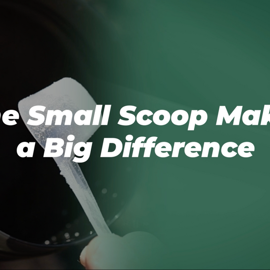 KMC Creatine Monohydrate