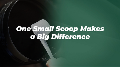 KMC Creatine Monohydrate